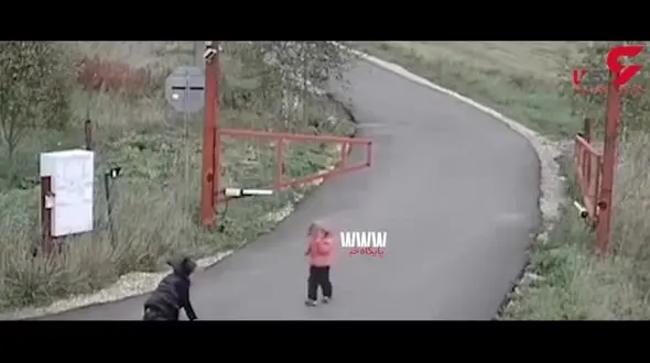 فیلم باورنکردنی از موتورسواری ناشیانه یک زن / 2 بچه و خودش داغون شدند / در امریکا رخ داد