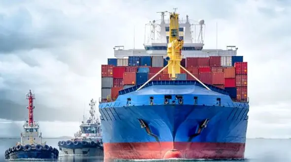 آمریکا از ایران چه محصولاتی می‌خرد؟ لیست کامل