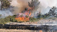 آتش سوزی مراتع استان همدان به یک سوم پارسال کاهش یافت
