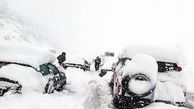 44 عکس از صحنه های باورنکردنی برف سنگین در گیلان / مردم درمانده شدند