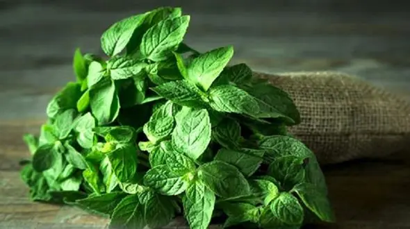 مدیریت احساسات و تقویت اعصاب با این گزینه های خوراکی