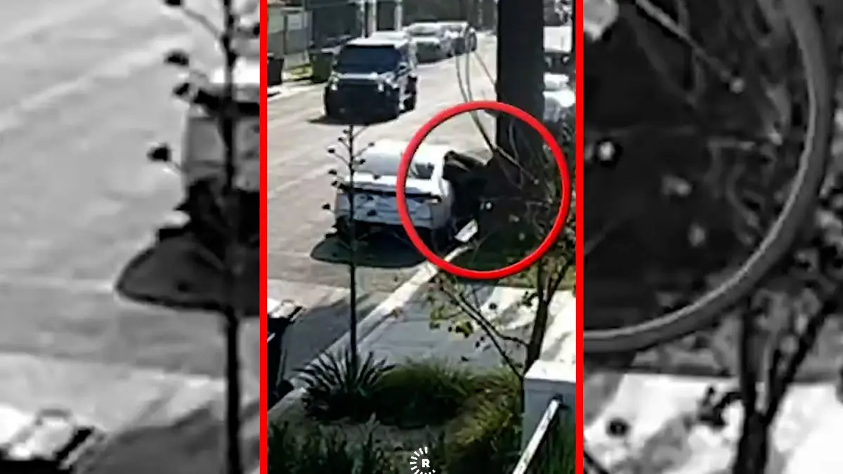 فیلم زن شجاعی که نقشه سرقت را نقش بر آب کرد