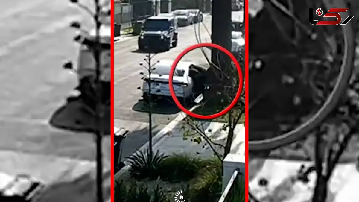 فیلم زن شجاعی که نقشه سرقت را نقش بر آب کرد