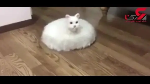 جارویی که در فضای مجازی سر و صدای زیادی کرد +فیلم 