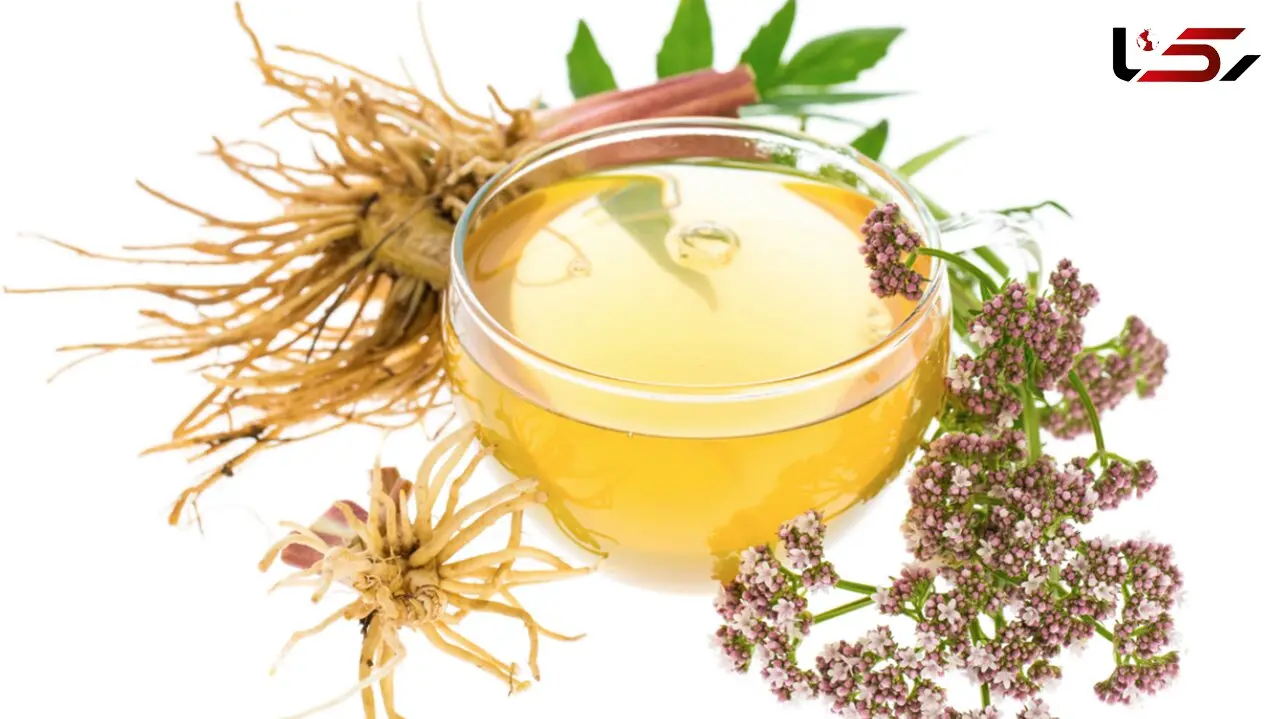 دمنوش های مناسب برای بی خوابی 