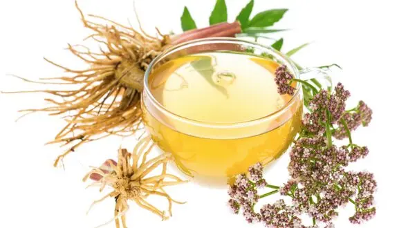 دمنوش های مناسب برای بی خوابی 