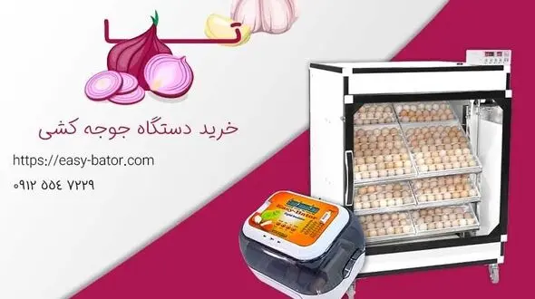 سیر تا پیاز خرید دستگاه جوجه کشی
