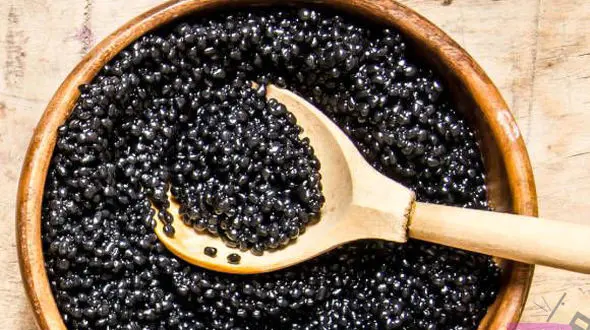 خاویار کیلویی ۱۰ میلیون تومان! 