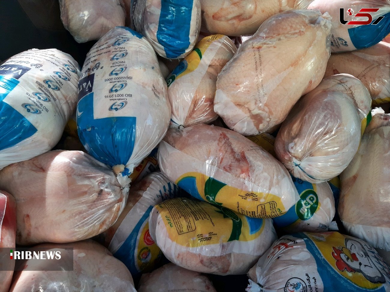 کشف بیش از 700 کیلوگرم مرغ احتکار شده و دستگیری مرد جوان محتکر