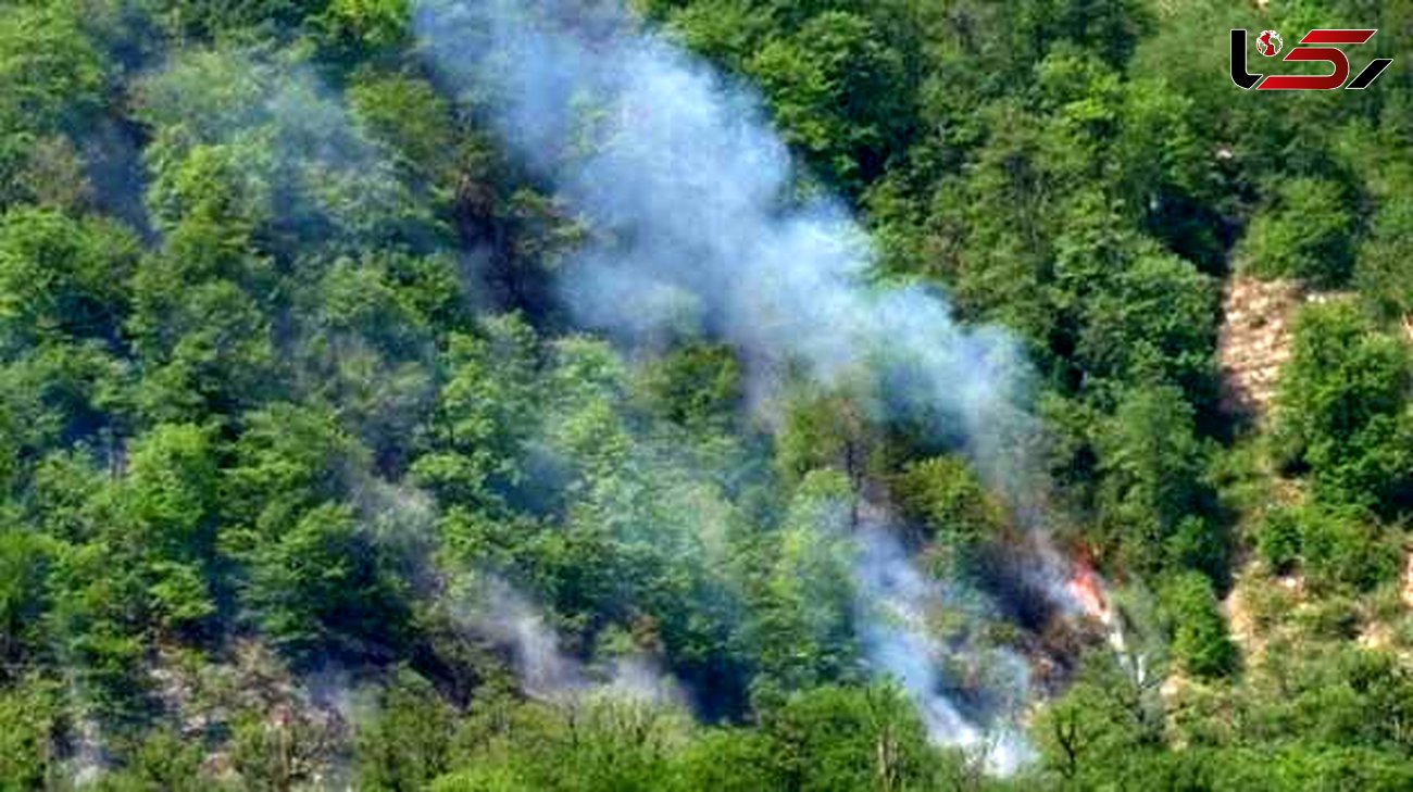چهار نقطه جنگلی ایران طی 4 روز در آتش سوخت / حریق در 20 هکتار جنگل