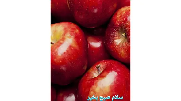 فال روزانه شخصی/ 26 تیر ماه + فیلم