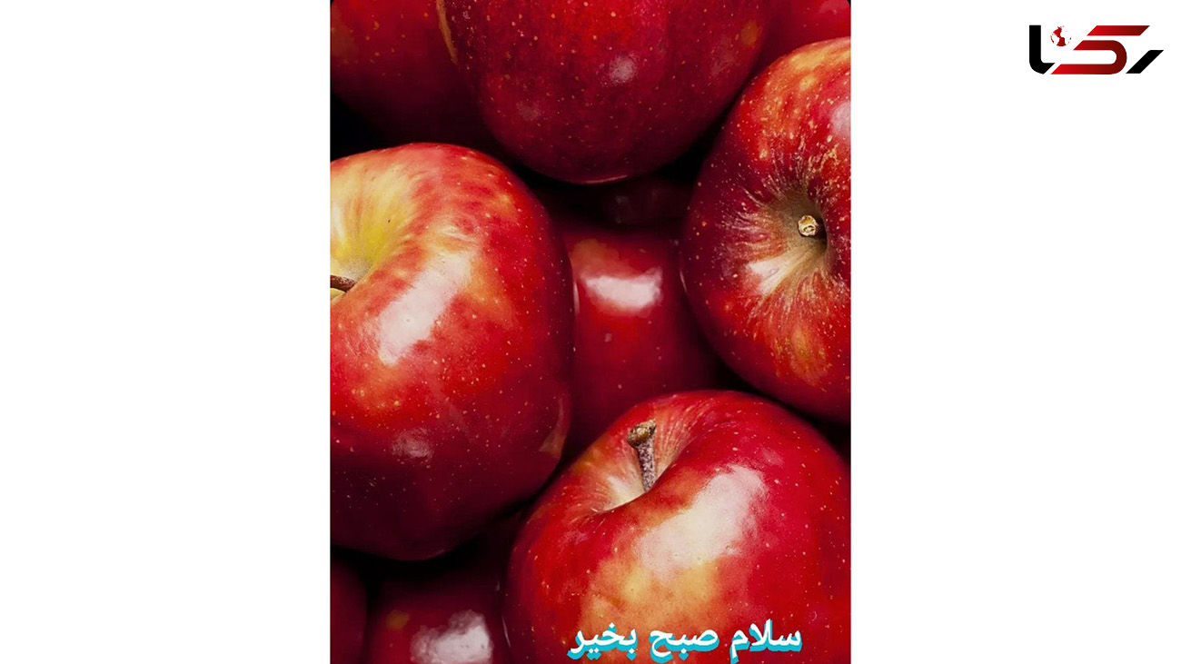 فال روزانه شخصی/ 26 تیر ماه + فیلم