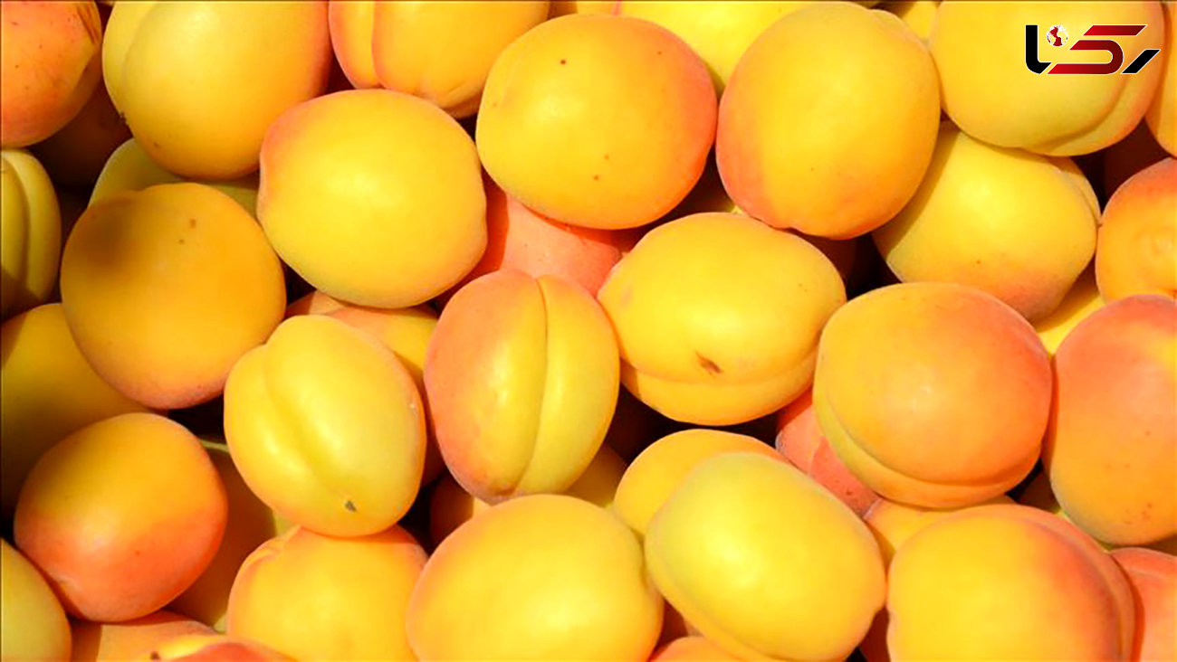زردآلو میوه تابستانی مناسب برای پوست 