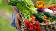 میوه و سبزیجات چقدر در روز بخوریم؟