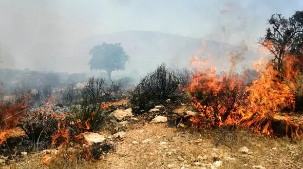 حادثه ناگوار در خراسان رضوی؛ شعله‌های آتش پارک ملی تندوره را فرا گرفت