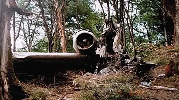 ناگفته ها از سقوط هواپیمای دادمان وزیر نیرو در ارتفاعات خرچنگ شمال / پس از 20 سال بازخوانی شد + عکس