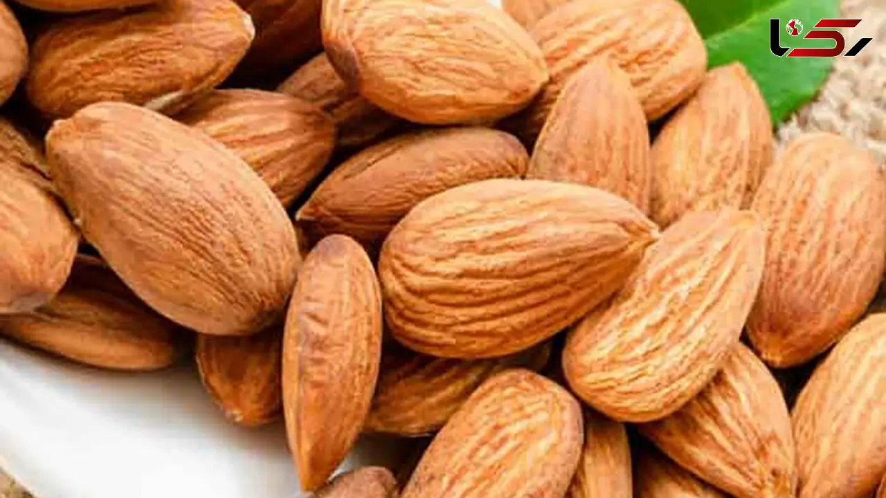 چربی‌ سوزی ورزشی را این آجیل افزایش می‌دهد