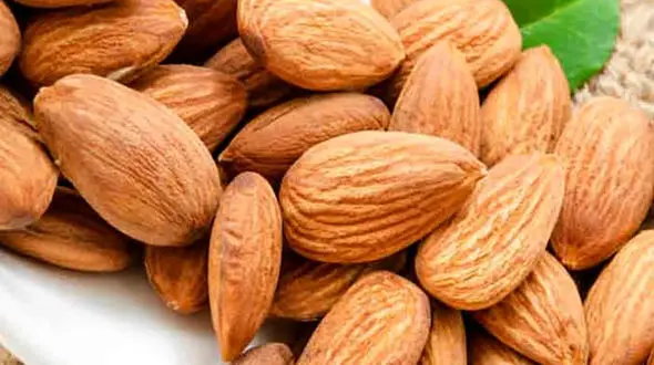 چربی‌ سوزی ورزشی را این آجیل افزایش می‌دهد