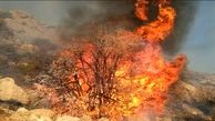 آتش سوزی جنگل ها در فصل پاییز کمتر می شود / تعداد دمنده های ایران باید سه برابر شود
