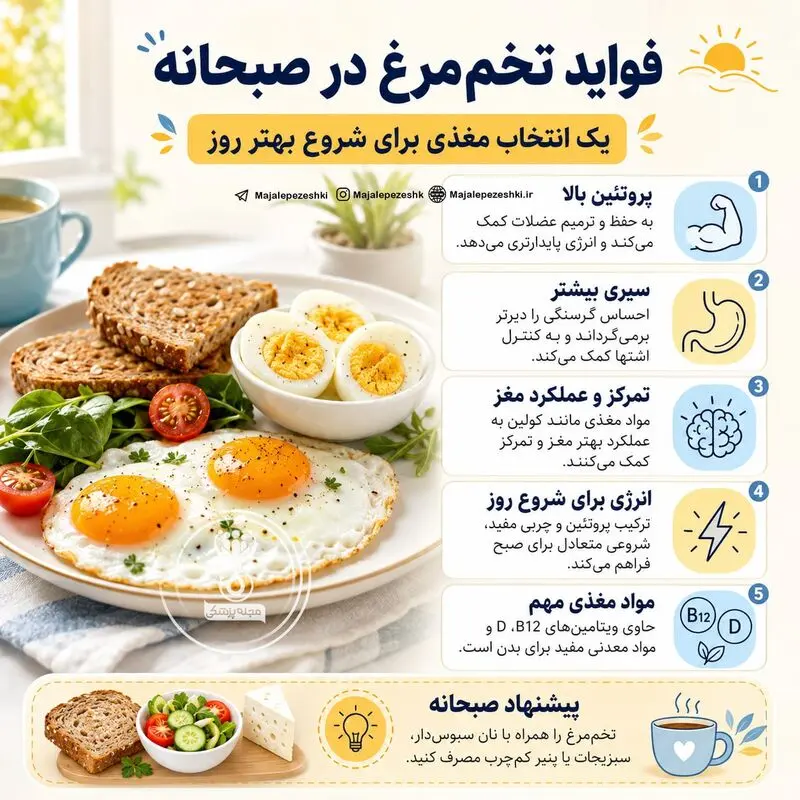 تخم مرغ برای صبحانه