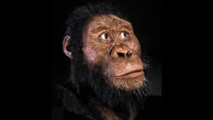 این تصویر انسان 4 میلیون سال پیش است !