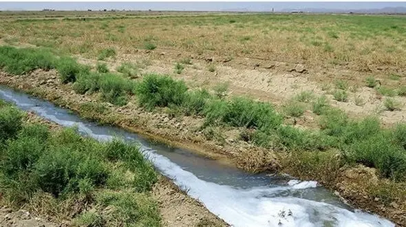 سرطان کاری در ساوه / فاجعه زیست محیطی در کشاورزی ساوه