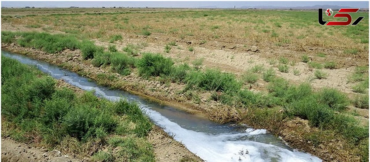 سرطان کاری در ساوه / فاجعه زیست محیطی در کشاورزی ساوه