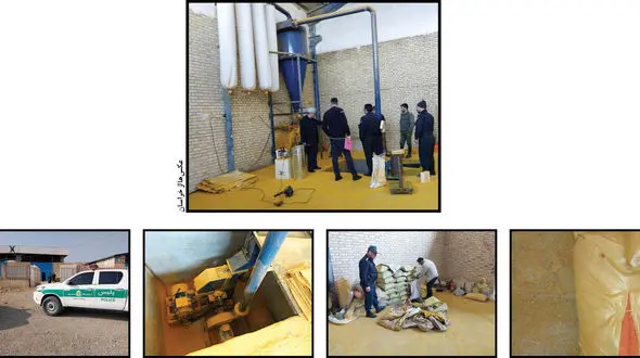 این کارخانه از بیخ و بن مدیران تبهکار داشت ! / این زردچوبه ها مزه زهرمار می دادند ! + عکس ها