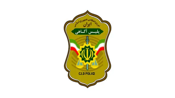 دستگیری مردی که با جعل عنوان مامور برق، ۶ زن را در تهران مورد سرقت و تهدید قرار داده بود