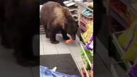 فیلم/ این خرس گرسنه هر شب غذای مورد علاقه اش را از یک فروشگاه می دزدد! 