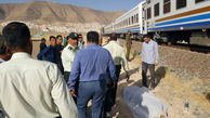 عکس هولناک / قطار شیراز چوپان با گوسفندانش را کشت