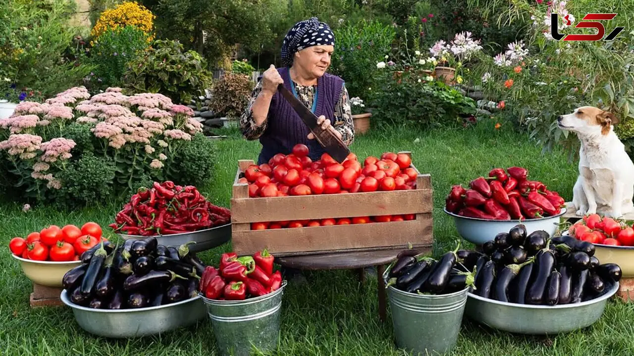 دلمه بادمجان گوشت و پنیر؛ غذای جذاب روستایی آذربایجان + فیلم