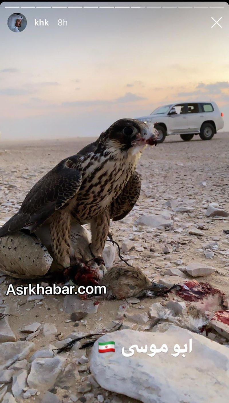 تصاویری از حضور برادر امیر قطر در جزیره ابوموسی