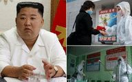 North Korea 'developing Covid vaccine using data hacked from foreign scientists'