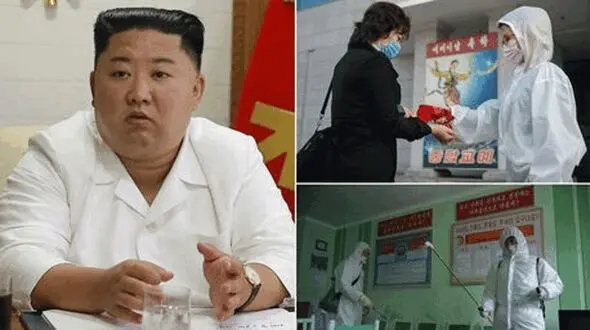 North Korea 'developing Covid vaccine using data hacked from foreign scientists'