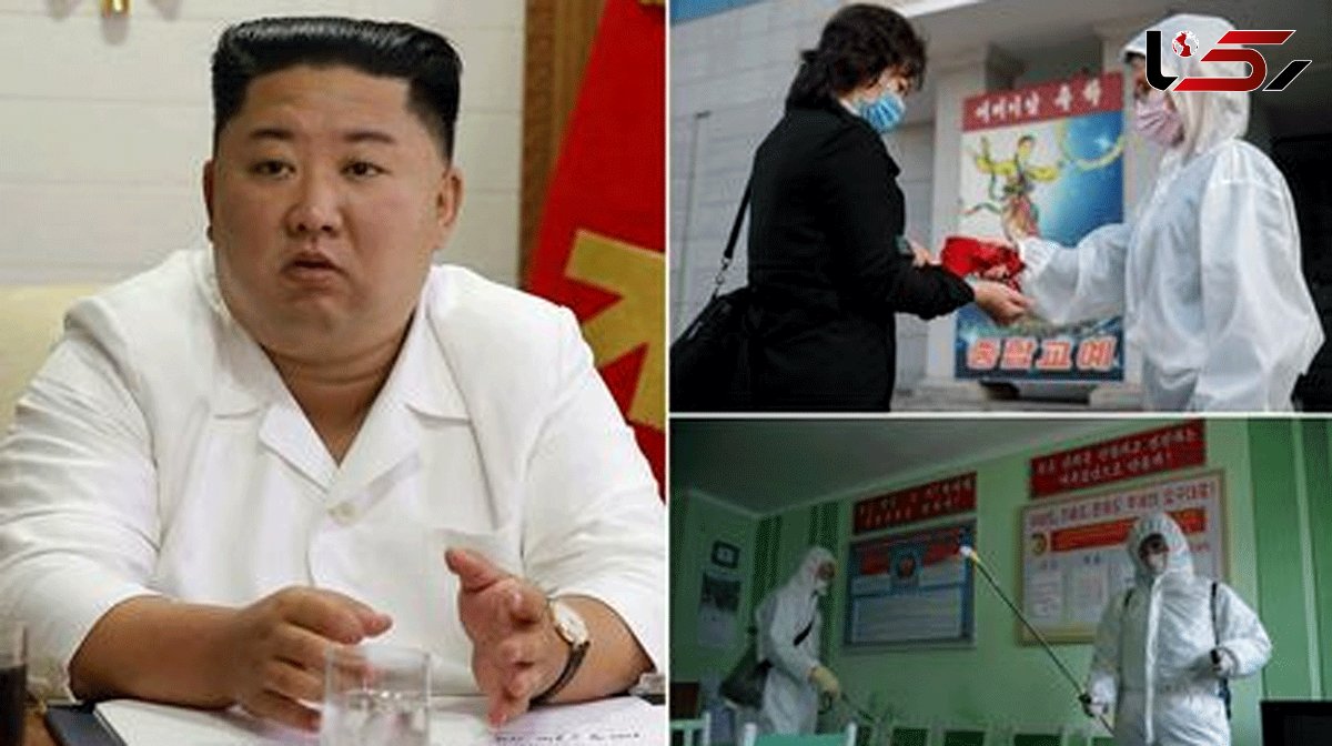 North Korea 'developing Covid vaccine using data hacked from foreign scientists'