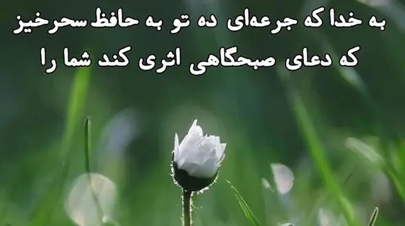 فال حافظ امروز / 17 اردیبهشت با تفسیر دقیق + فیلم