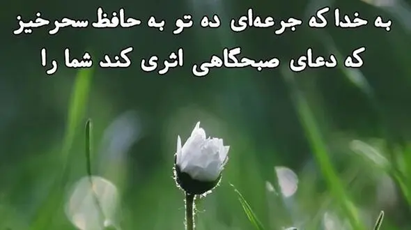فال حافظ امروز / 17 اردیبهشت با تفسیر دقیق + فیلم