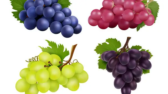 جوانسازی پوست با انگور 