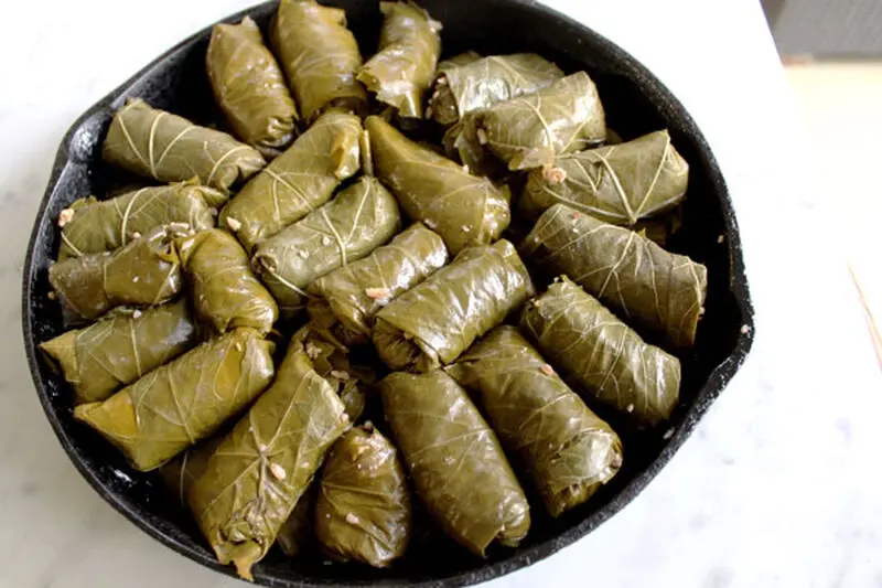 دلمه برگ مو