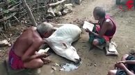 مرگ یک گاو به دلیل استفاده از جادوگر به جای دامپزشک + فیلم