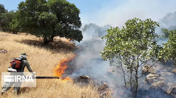 بازداشت عامل آتش‌سوزی عمدی میانکاله در مازندران 