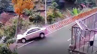 ببینید / تصادف عجیب و غریب یک خودرو با درخت + فیلم شوک آور