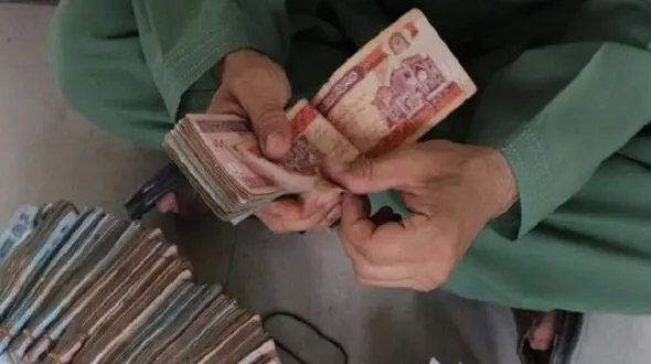 قیمت افغانی افغانستان به تومان، امروز یکشنبه 11 شهریور 1403 