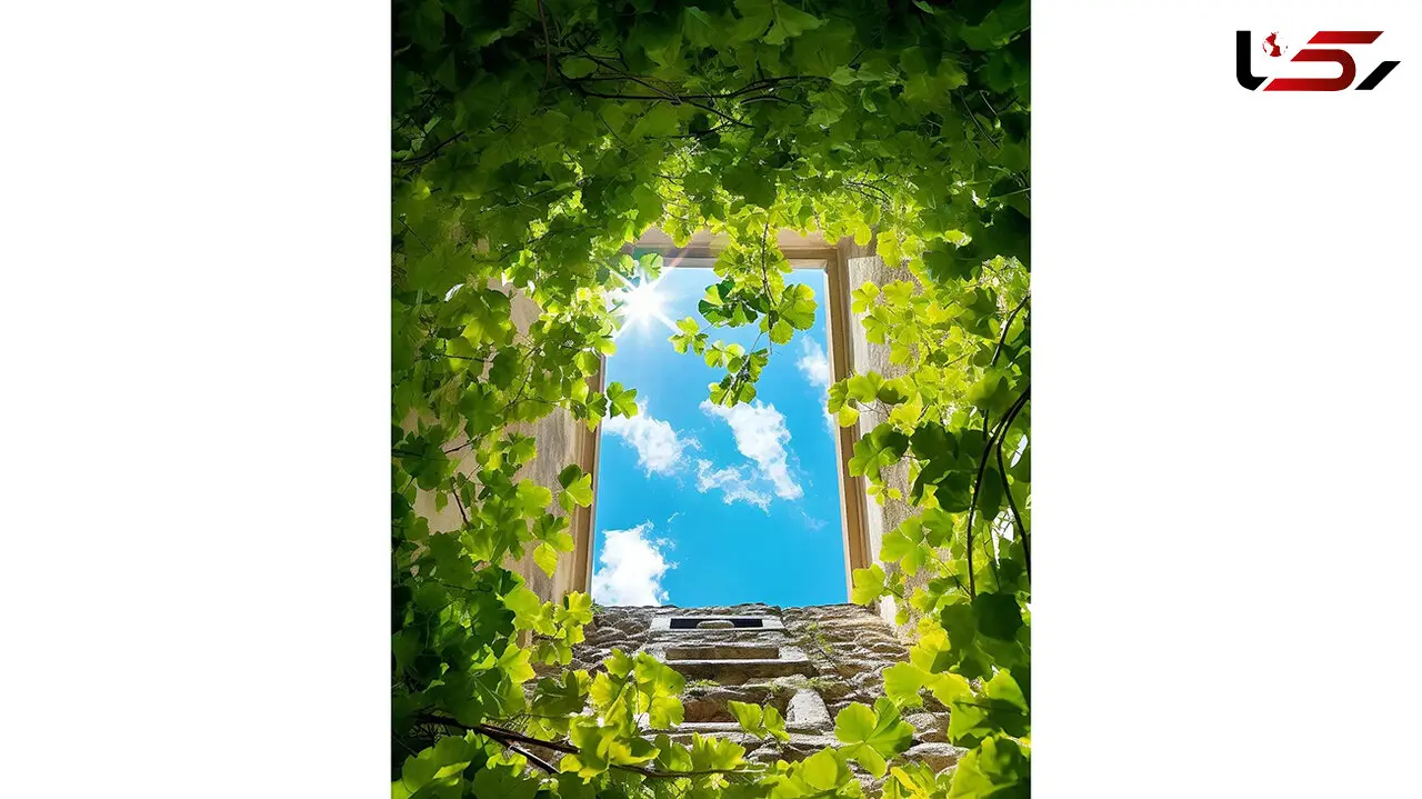 فال ابجد امروز / 9 مرداد + فیلم