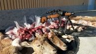 چهار شکارچی متخلف در مریوان دستگیر شدند