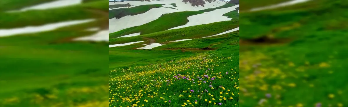 فیلم چشم اندازهای رویایی ارتفاعات دالامپر