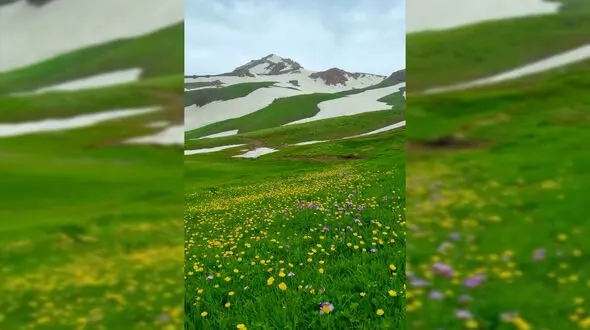 فیلم چشم اندازهای رویایی ارتفاعات دالامپر