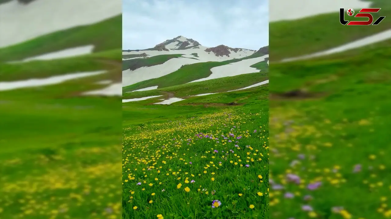 فیلم چشم اندازهای رویایی ارتفاعات دالامپر