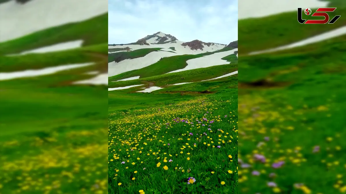 فیلم چشم اندازهای رویایی ارتفاعات دالامپر